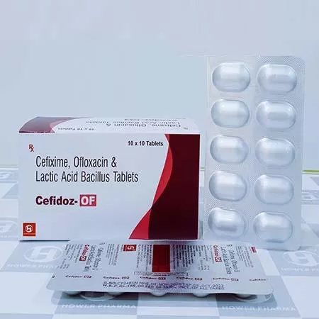 cefixime 200mg + ofloxacin 200mg + lactic  acid bacillus tablet