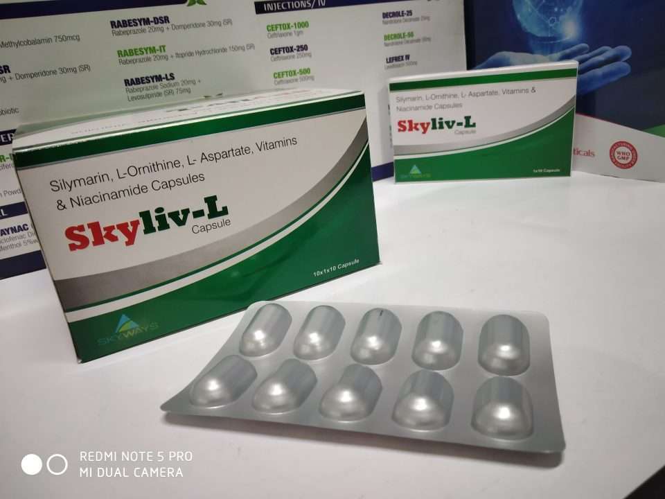 silymarin ,  l-ornithine , l-aspartate ,vitamins & niacinamide capsule