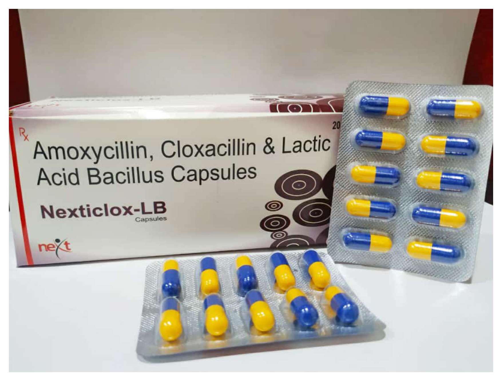 amoxycillin + cloxacillin + lactic acid bacillus capsules